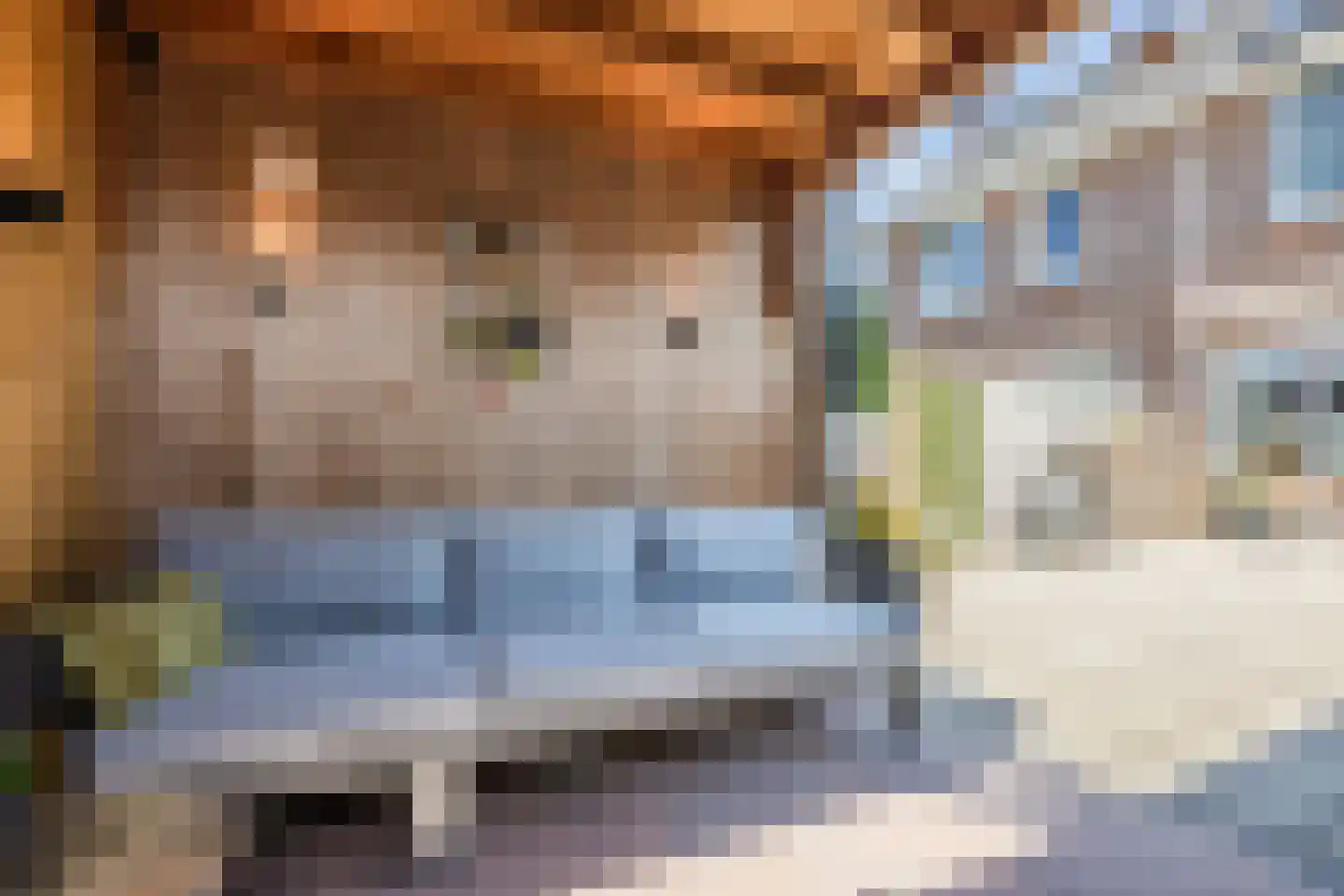 Takenshof 12 Balkbrug thumbnail 39