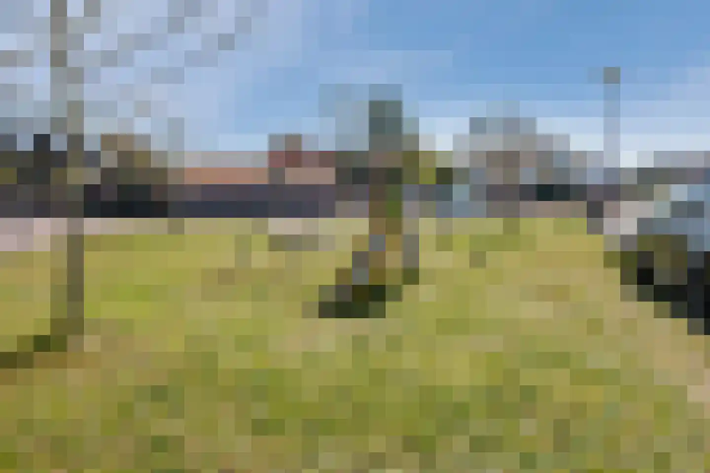 Takenshof 12 Balkbrug thumbnail 4