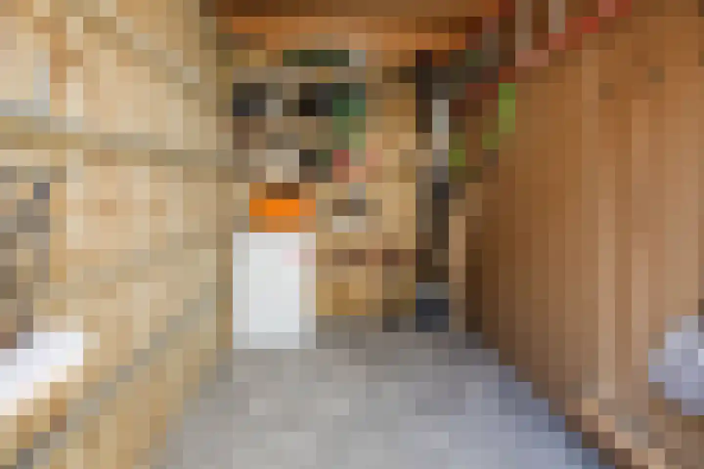 Takenshof 12 Balkbrug thumbnail 40