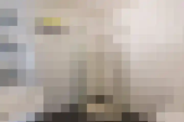 Takenslaan 2 Appingedam thumbnail 16