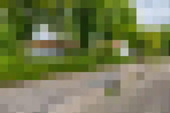 Takenslaan 2 Appingedam thumbnail 17