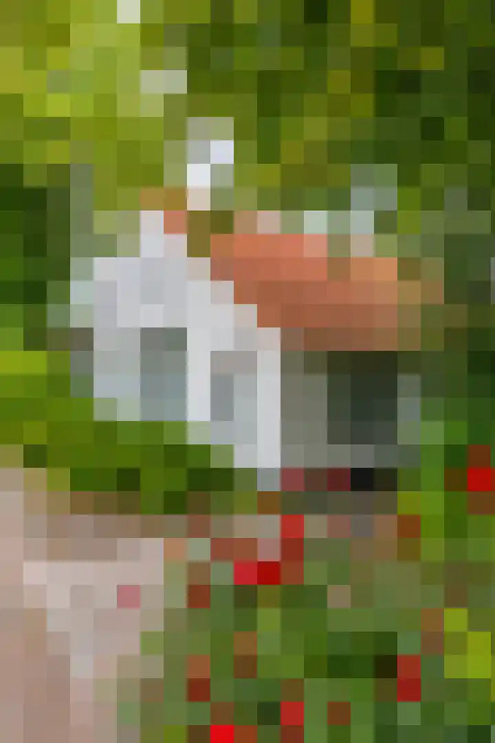 Takenslaan 2 Appingedam thumbnail 19