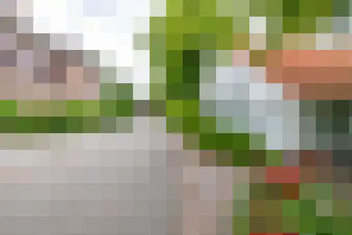 Takenslaan 2 Appingedam thumbnail 22