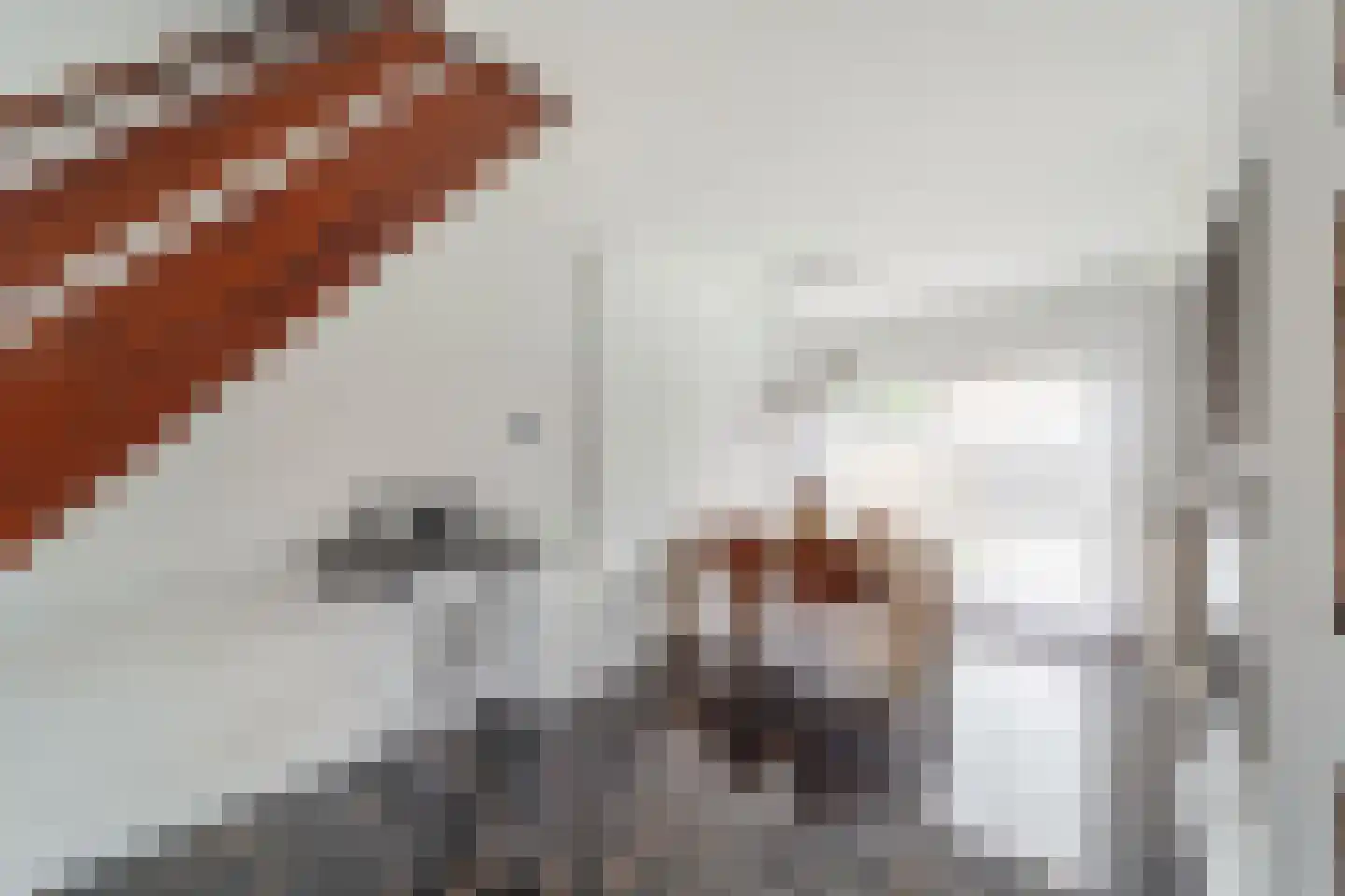 Takmos 10 Nieuwerkerk aan den IJssel thumbnail 10