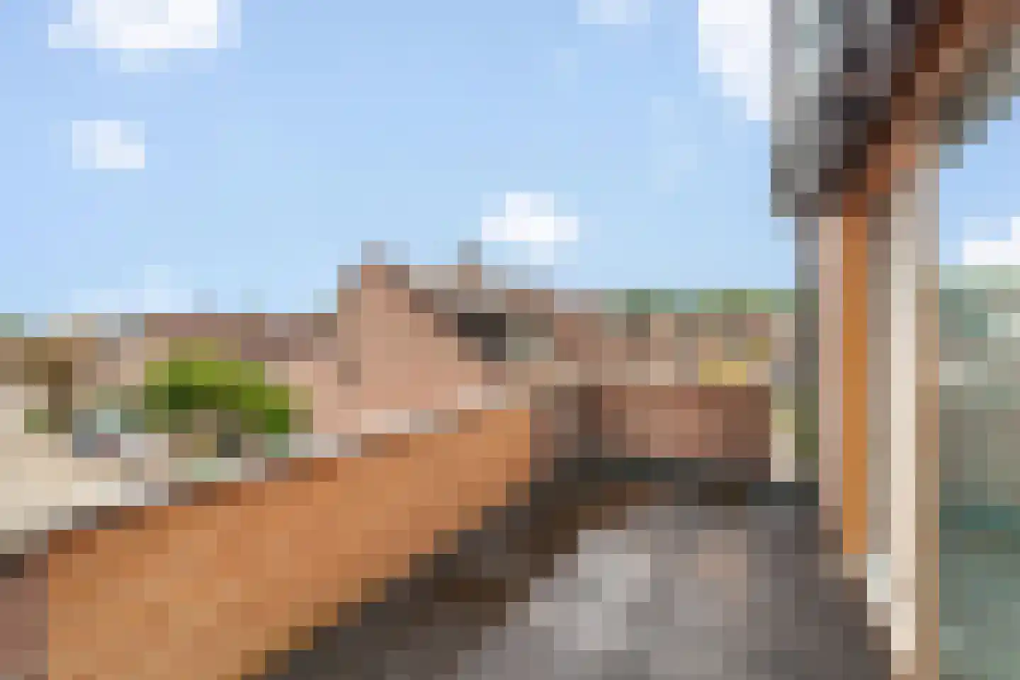 Takmos 10 Nieuwerkerk aan den IJssel thumbnail 33