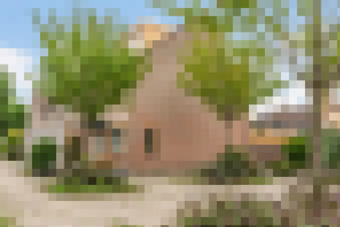 Takmos 10 Nieuwerkerk aan den IJssel thumbnail 36