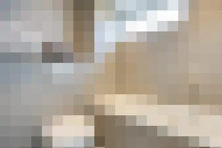 Takmospad 14 Almere thumbnail 25
