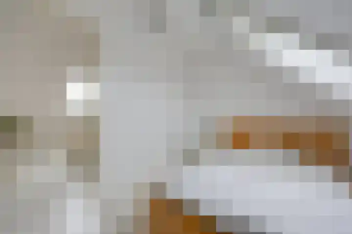 Takmospad 14 Almere thumbnail 33