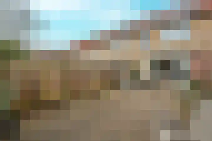 Takmospad 14 Almere thumbnail 40