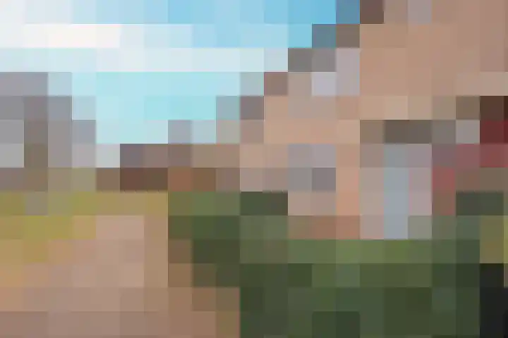 Takmospad 14 Almere thumbnail 45