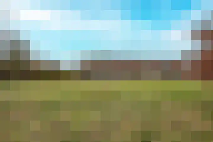 Takmospad 14 Almere thumbnail 46