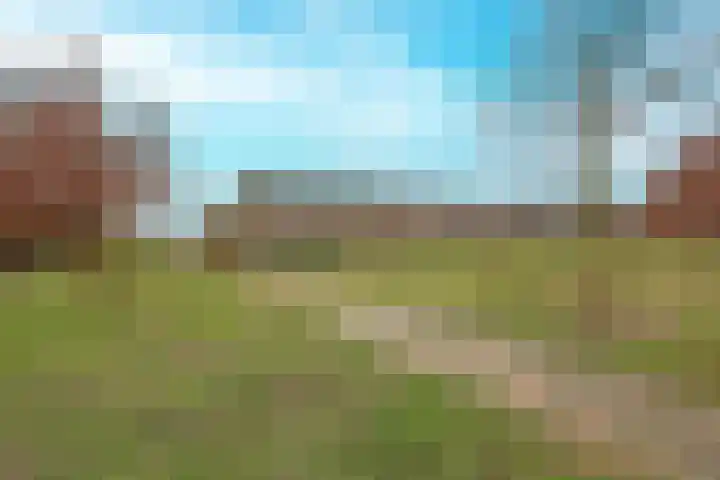 Takmospad 14 Almere thumbnail 48