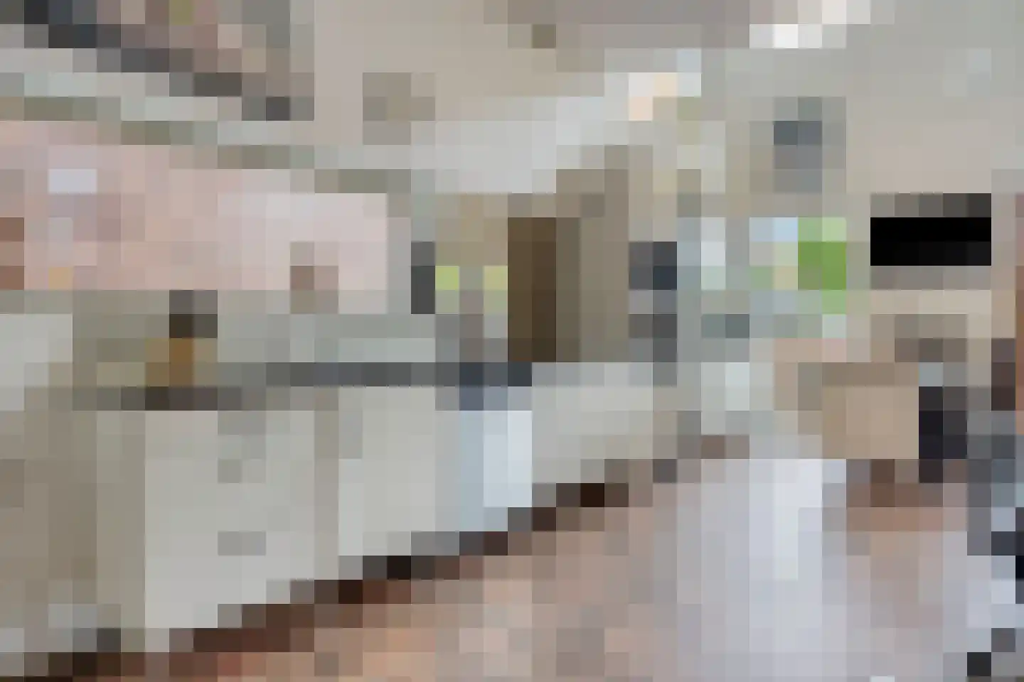 Talbotstraat 14 Amsterdam thumbnail 7