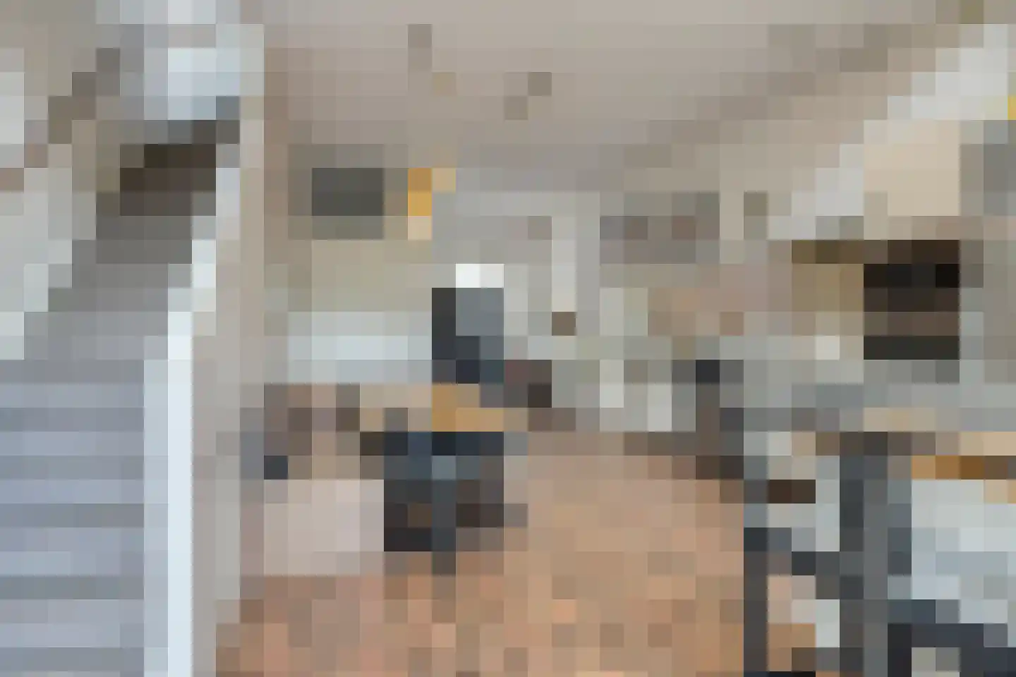 Talbotstraat 14 Amsterdam thumbnail 8