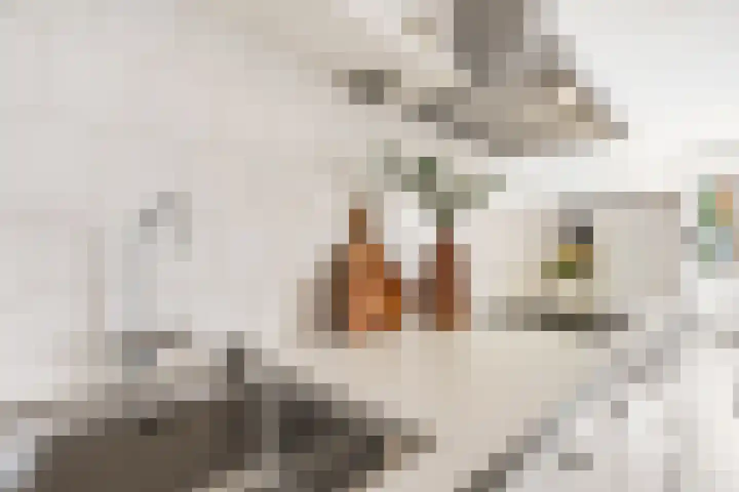 Talbotstraat 181 Amsterdam thumbnail 13