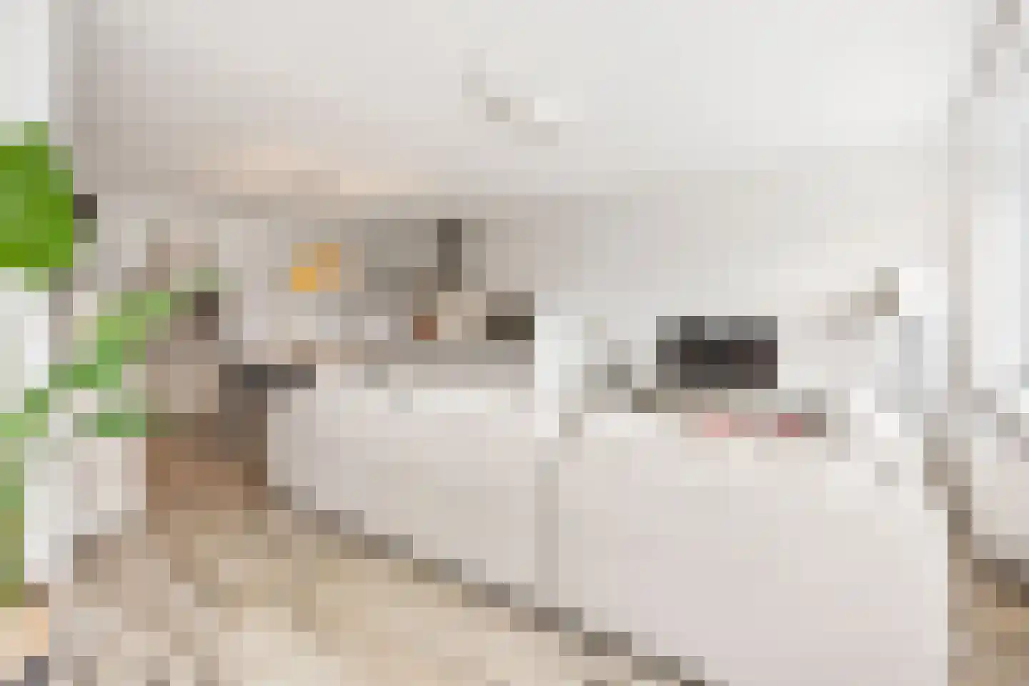 Talbotstraat 181 Amsterdam thumbnail 17