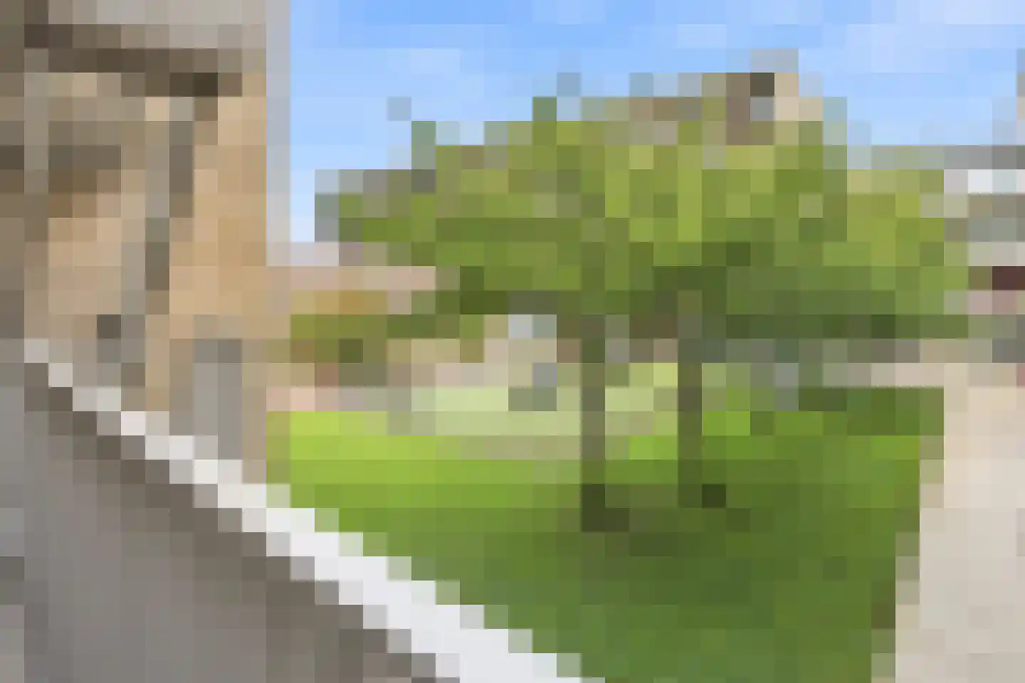 Talbotstraat 181 Amsterdam thumbnail 29