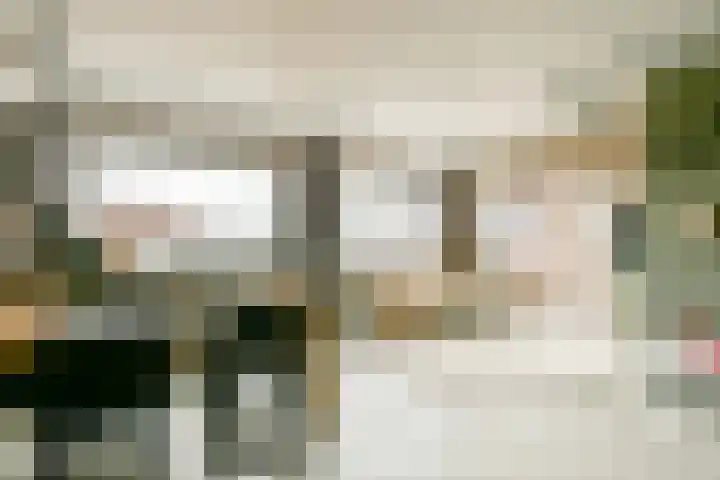 Talbotstraat 213 Amsterdam thumbnail 5