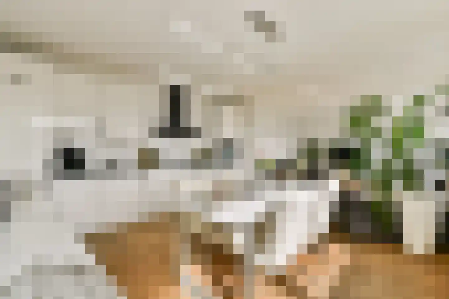 Talbotstraat 221 Amsterdam thumbnail 4