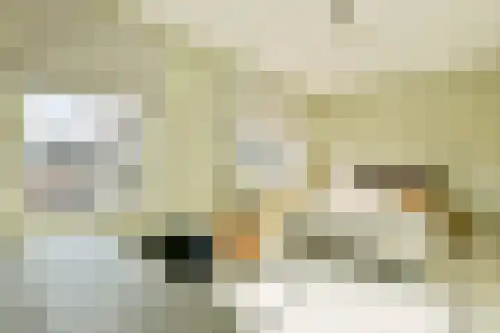 Talbotstraat 8 Amsterdam thumbnail 21