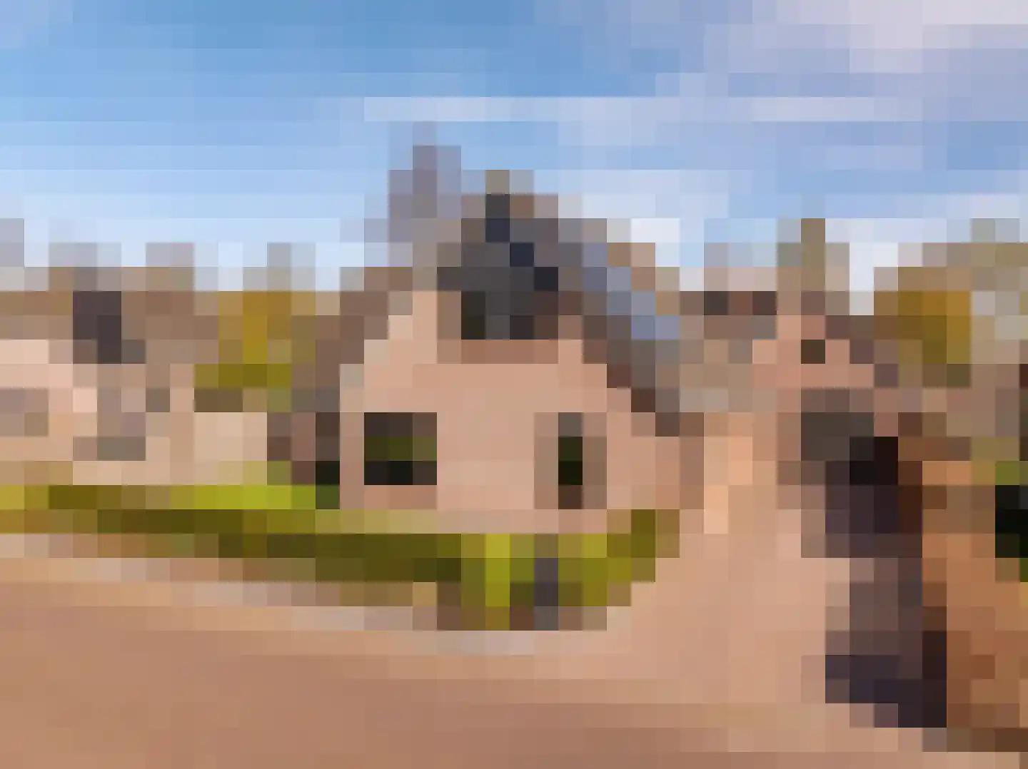 Talensstraat 9 in Kerkenveld