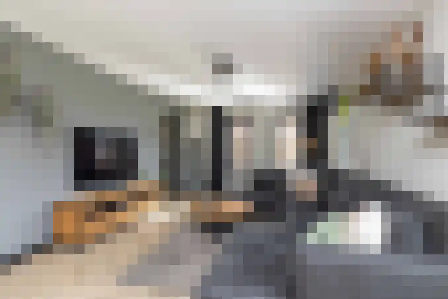 Talensstraat 9 Kerkenveld thumbnail 11