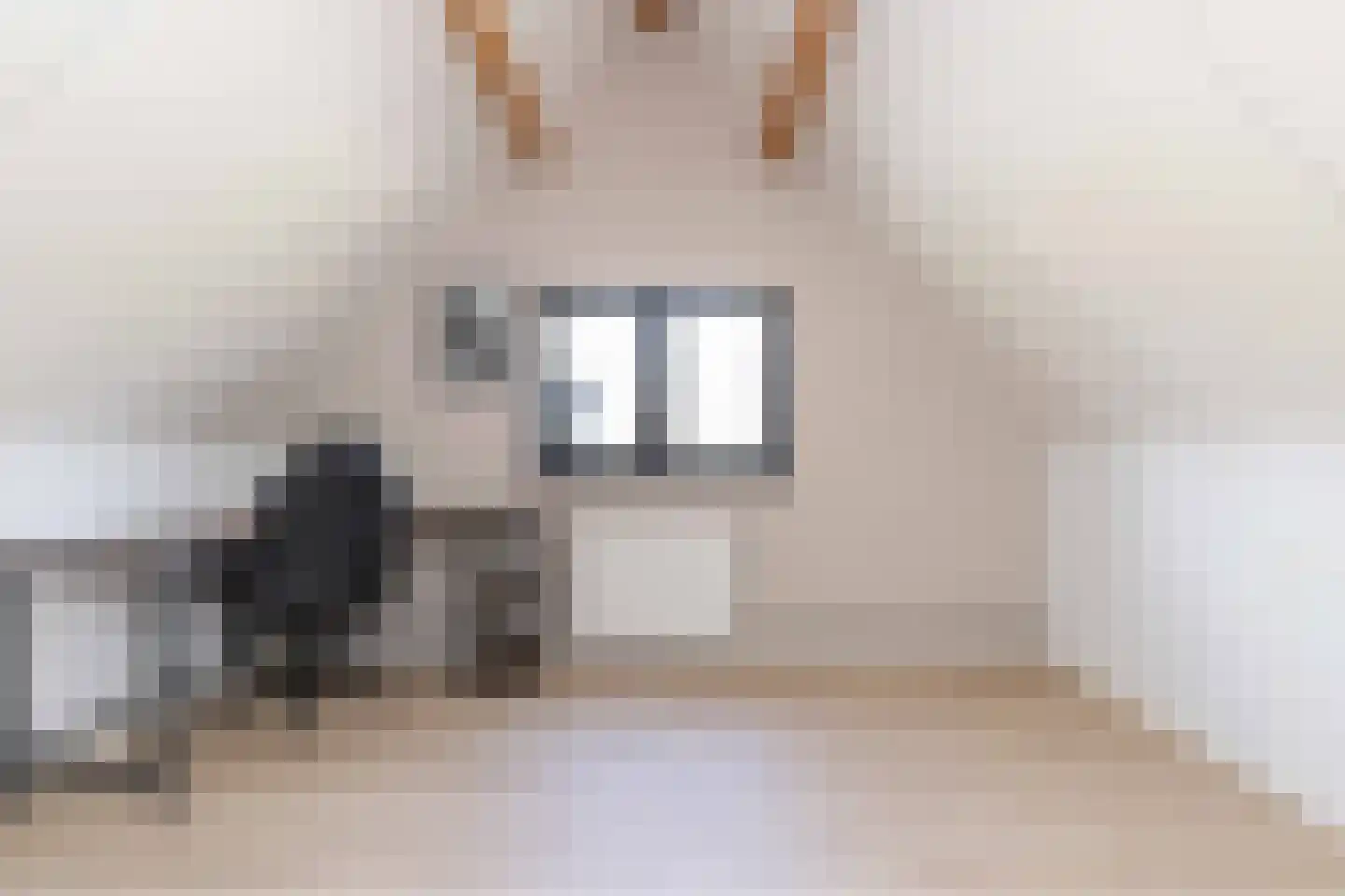 Talensstraat 9 Kerkenveld thumbnail 33