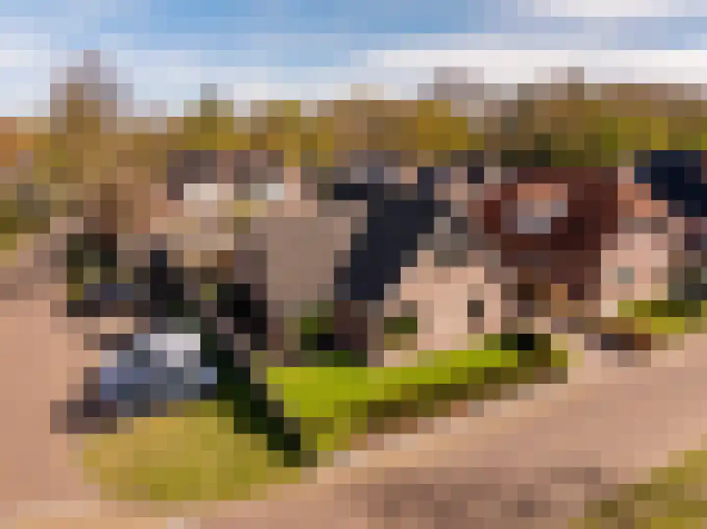 Talensstraat 9 Kerkenveld thumbnail 5