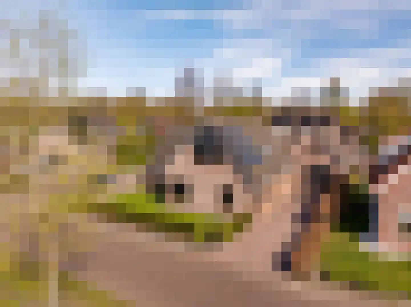 Talensstraat 9 Kerkenveld thumbnail 58