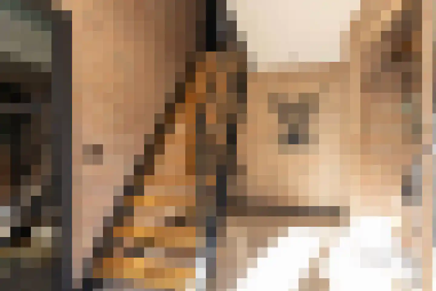 Talensstraat 9 Kerkenveld thumbnail 7