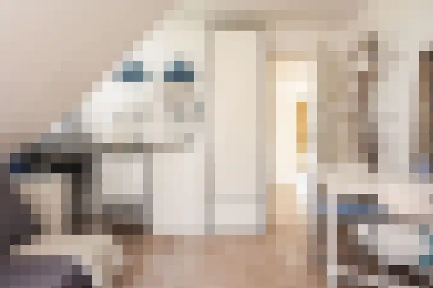 Talesiuspark 15 Spaarndam thumbnail 36