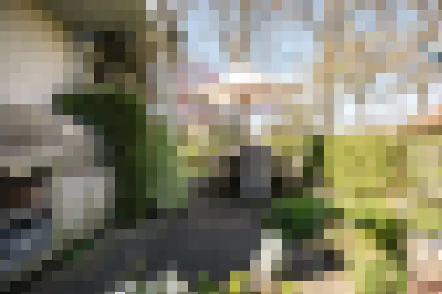 Talesiuspark 15 Spaarndam thumbnail 39