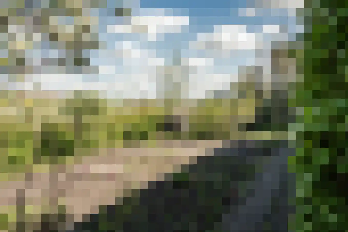 Talesiuspark 15 Spaarndam thumbnail 40