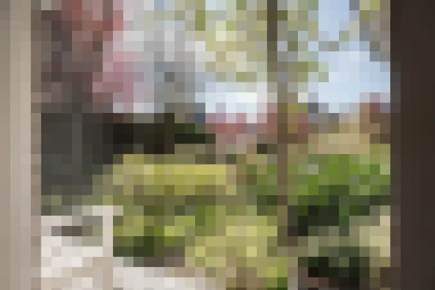 Talesiuspark 15 Spaarndam thumbnail 50