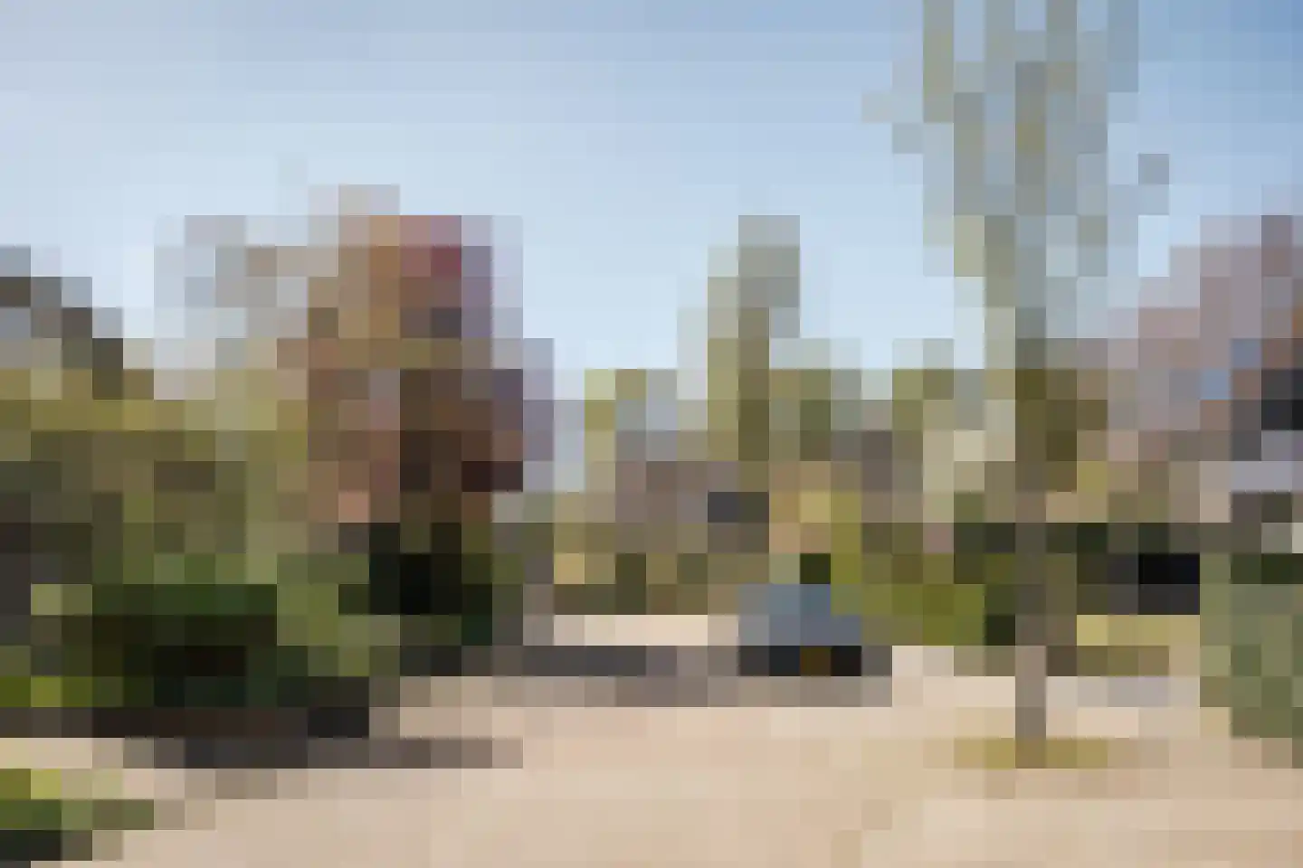 Talesiuspark 15 Spaarndam thumbnail 53
