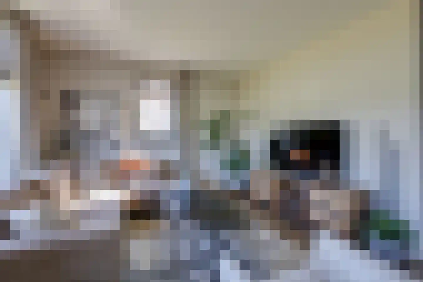 Talhorst 14 Tolkamer thumbnail 20