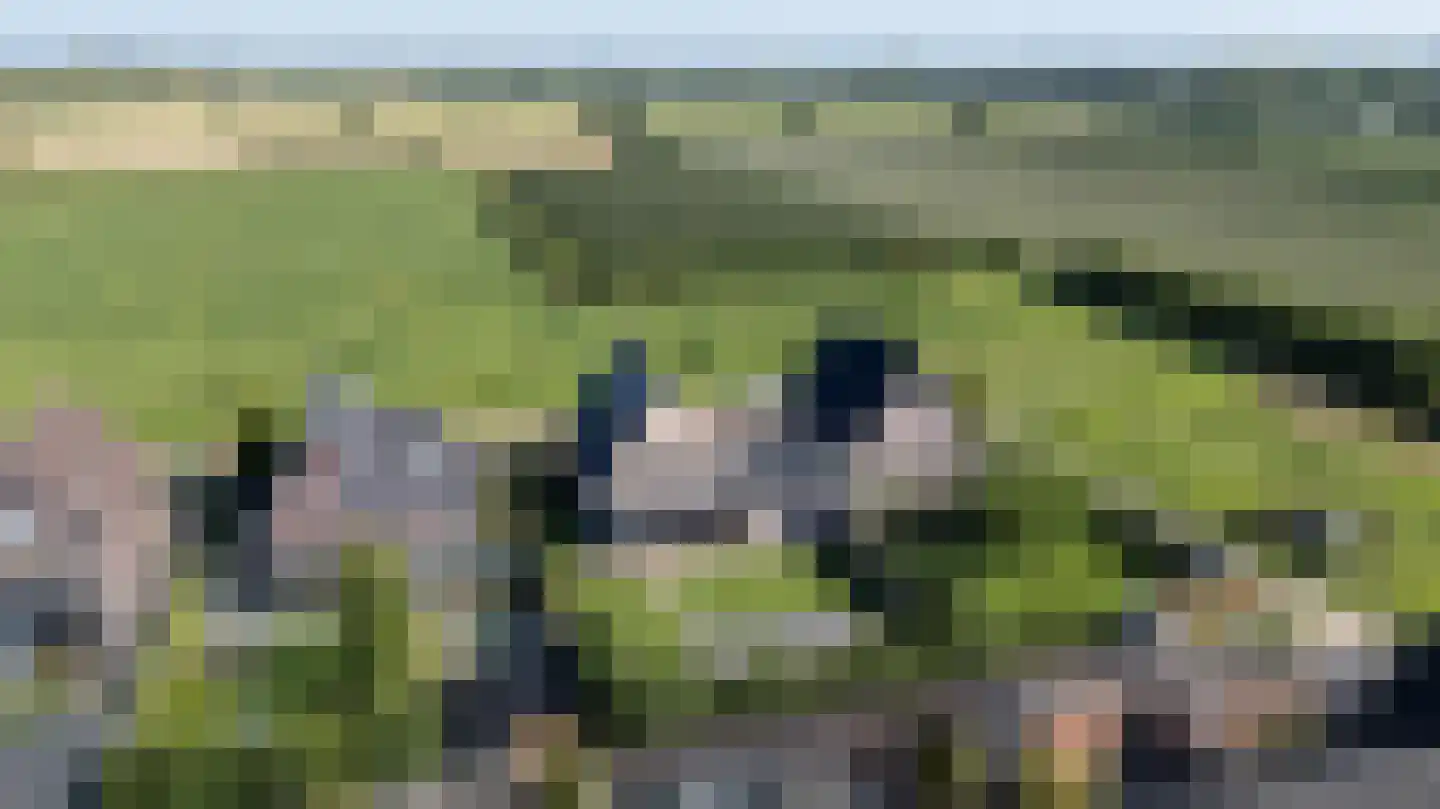 Talhorst 14 Tolkamer thumbnail 66