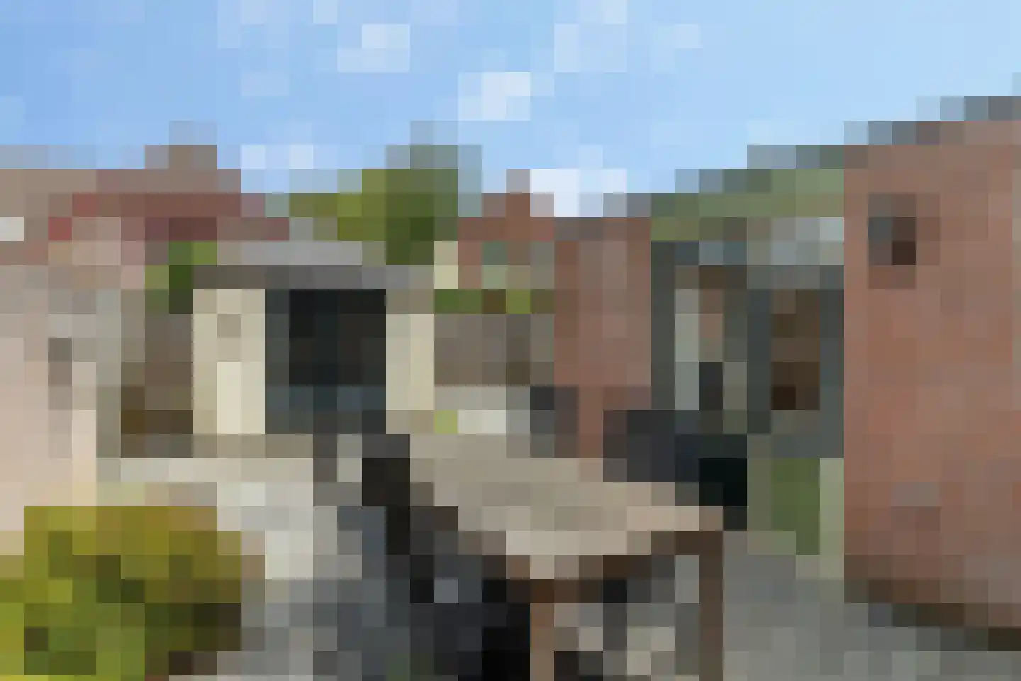Talhoutweg 17 Nunspeet thumbnail 27