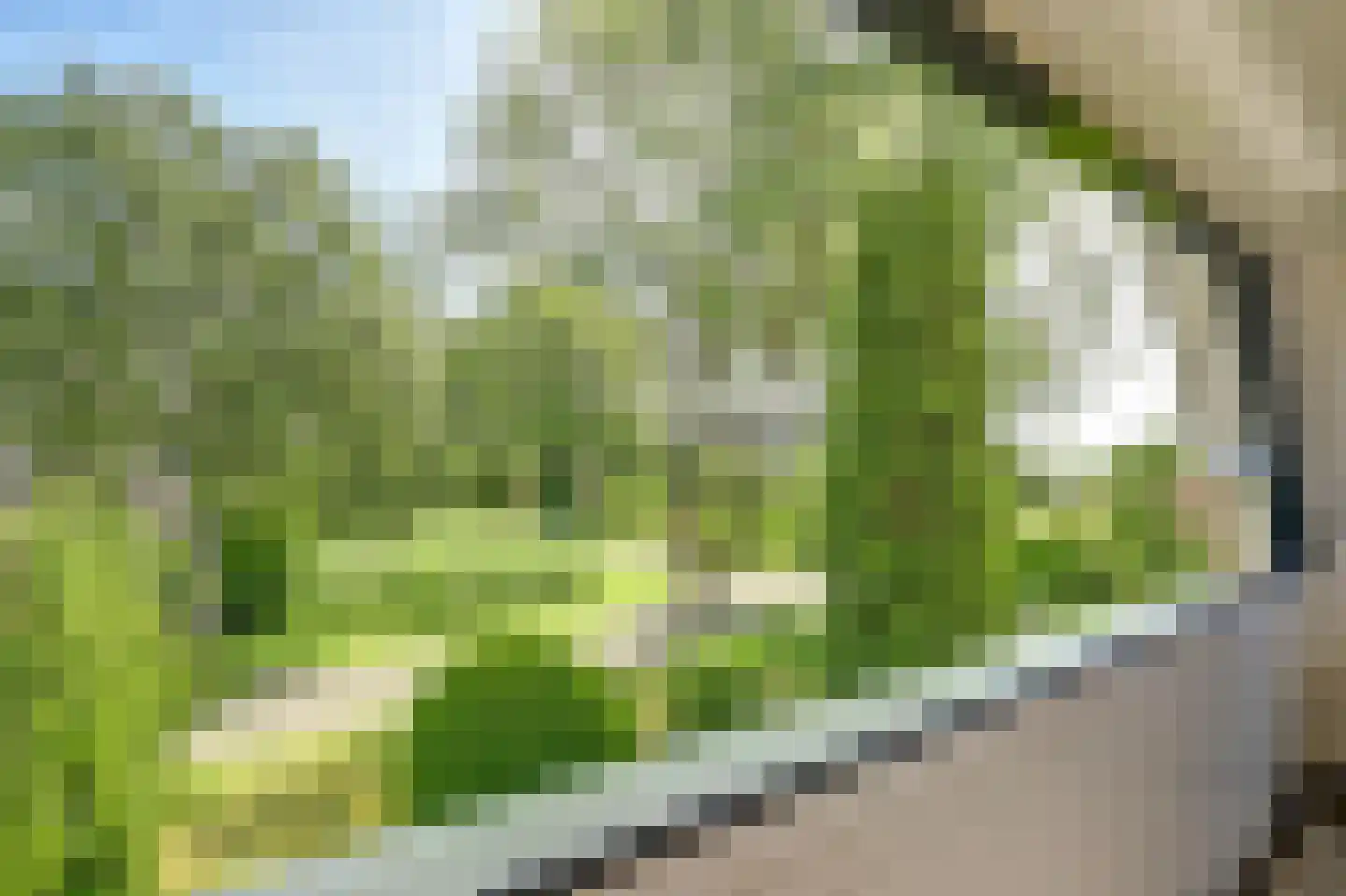 Taling 1 Broek op Langedijk thumbnail 35