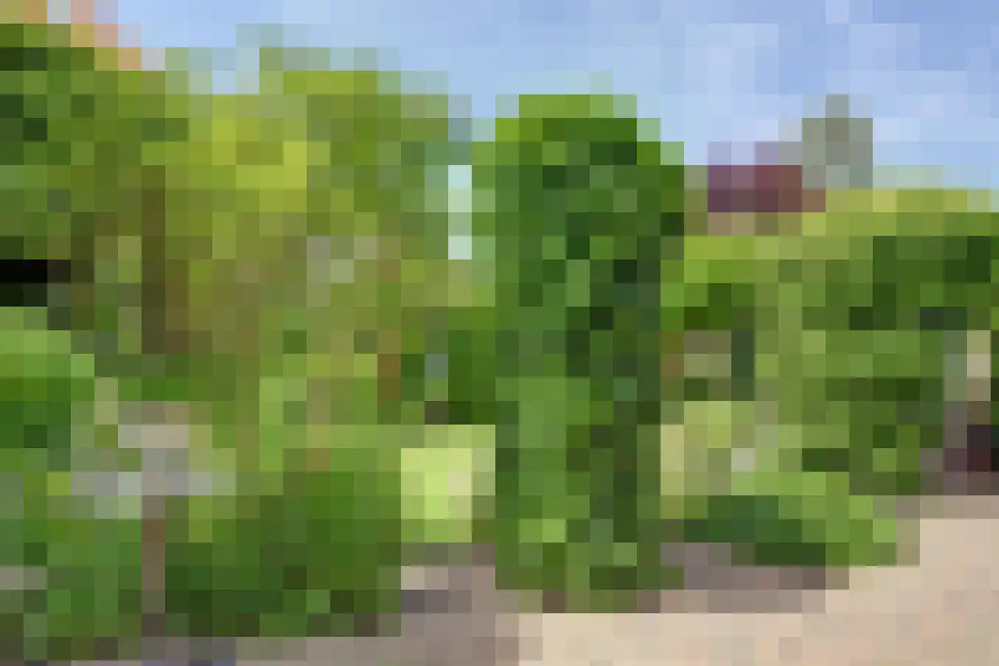 Taling 1 Broek op Langedijk thumbnail 52