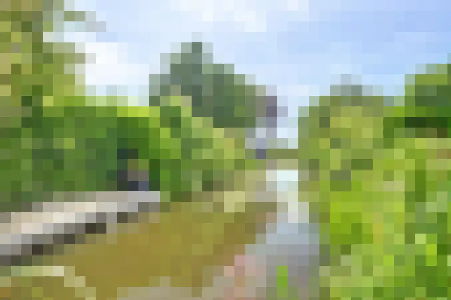 Taling 1 Broek op Langedijk thumbnail 57