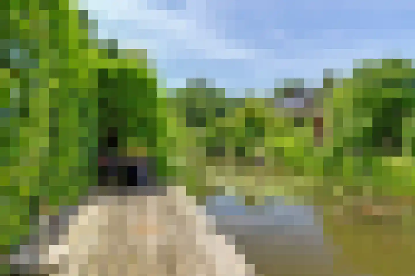 Taling 1 Broek op Langedijk thumbnail 58