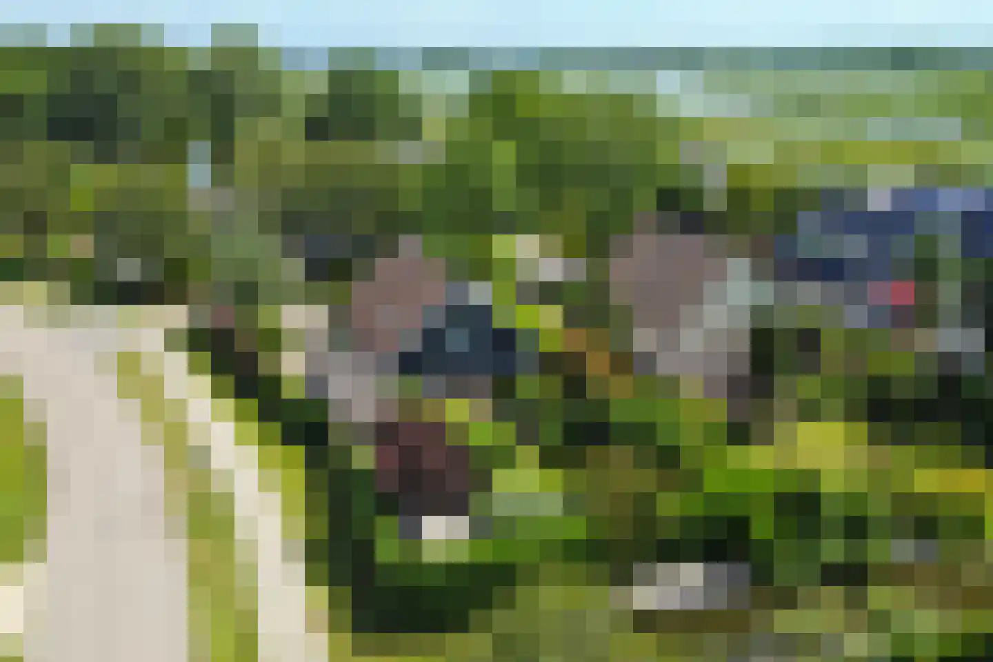 Taling 1 Broek op Langedijk thumbnail 67