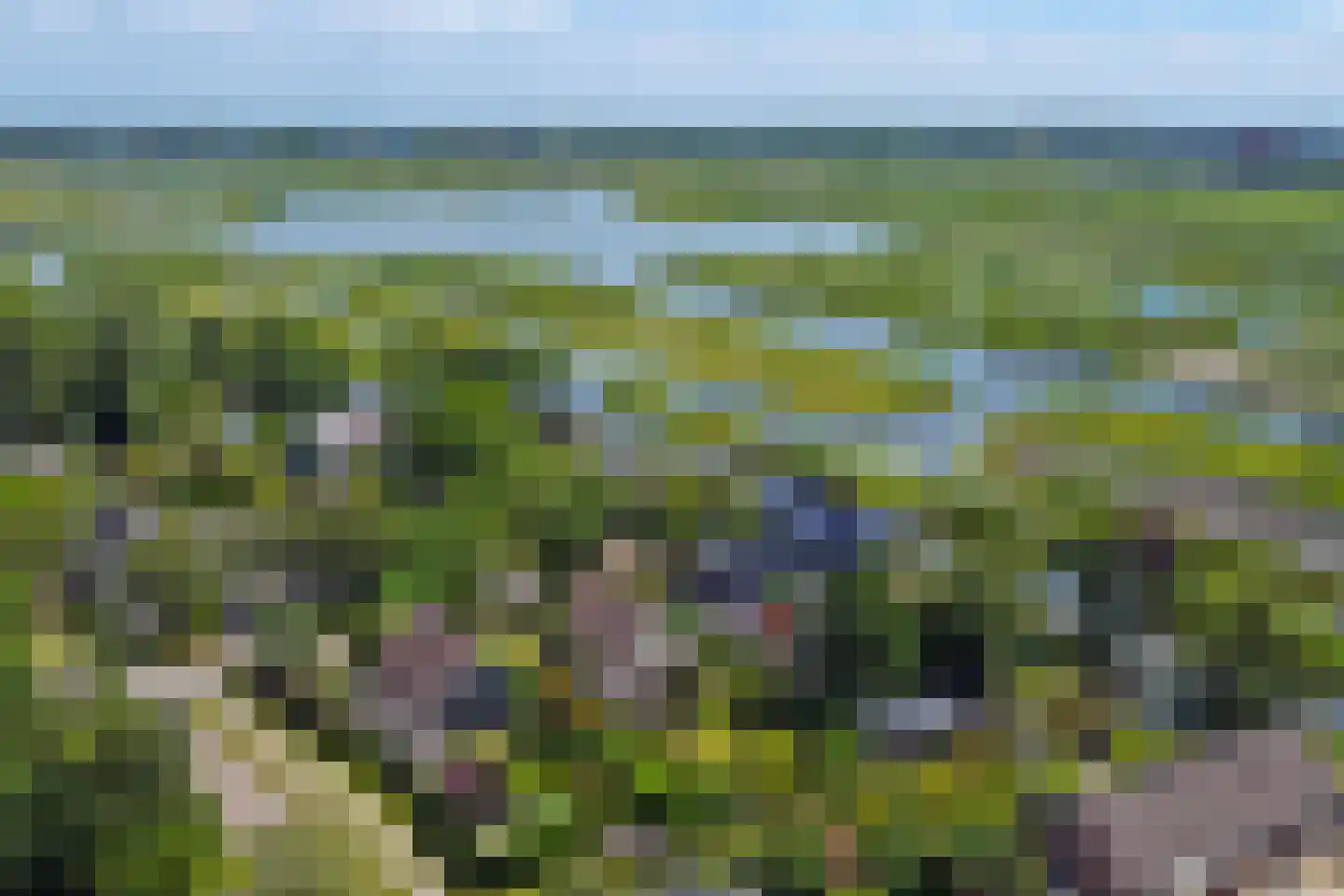 Taling 1 Broek op Langedijk thumbnail 68