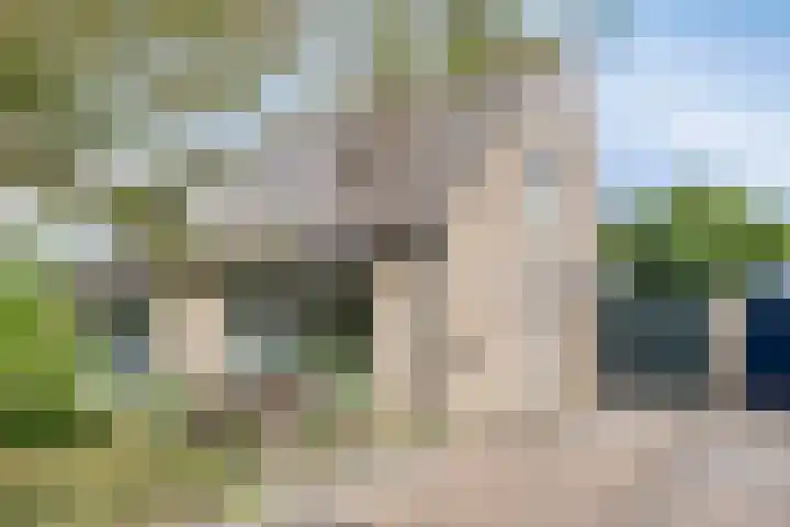 Taling 18 Grijpskerk