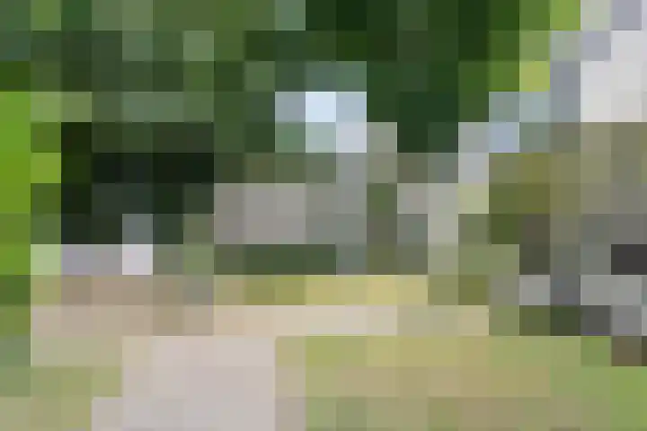 Taling 18 Grijpskerk thumbnail 11