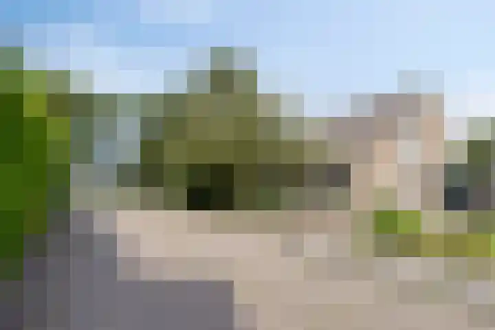 Taling 18 Grijpskerk thumbnail 14