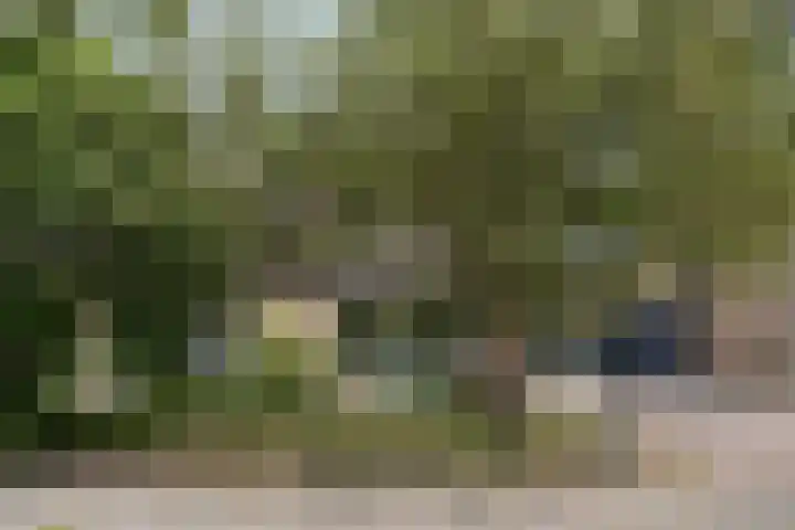 Taling 18 Grijpskerk thumbnail 15