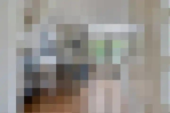 Taling 18 Grijpskerk thumbnail 29