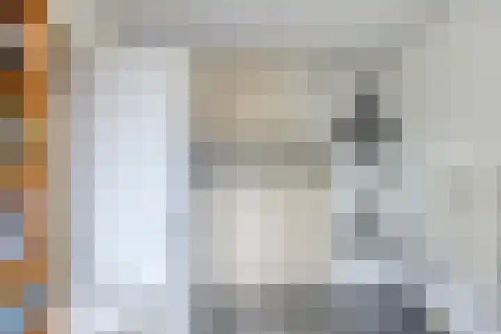 Taling 18 Grijpskerk thumbnail 36
